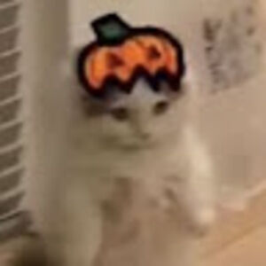 Meet your Posher, Athena